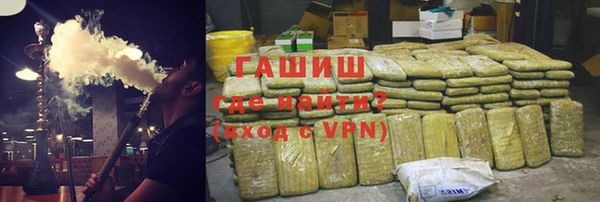 молекула духа Богданович