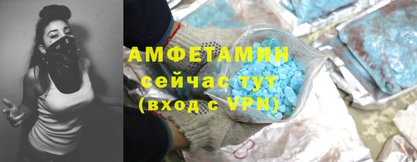 молекула духа Богданович