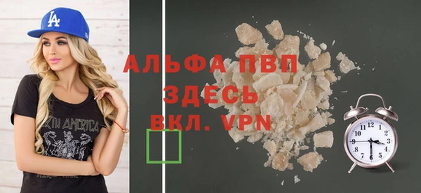 молекула духа Богданович