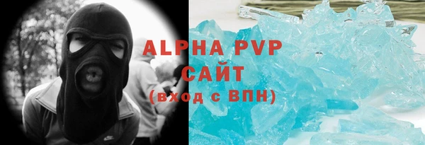 молекула духа Богданович