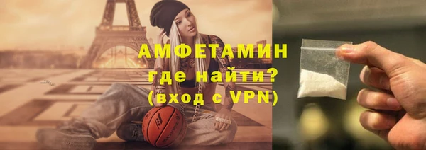 молекула духа Богданович