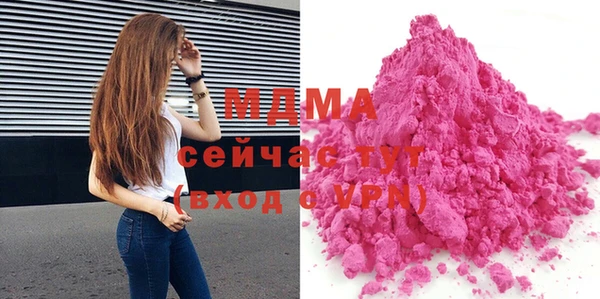 молекула духа Богданович
