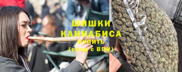 молекула духа Богданович
