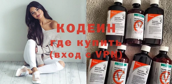 молекула духа Богданович