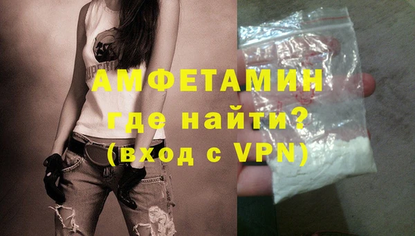 молекула духа Богданович